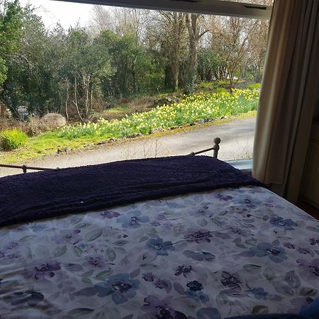Hollybanks Apartamento Moycullen Quarto foto