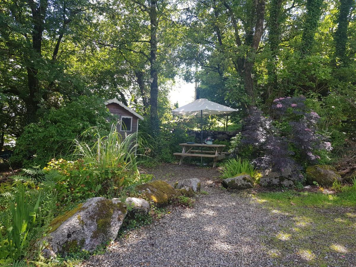 Hollybanks Apartamento Moycullen Exterior foto