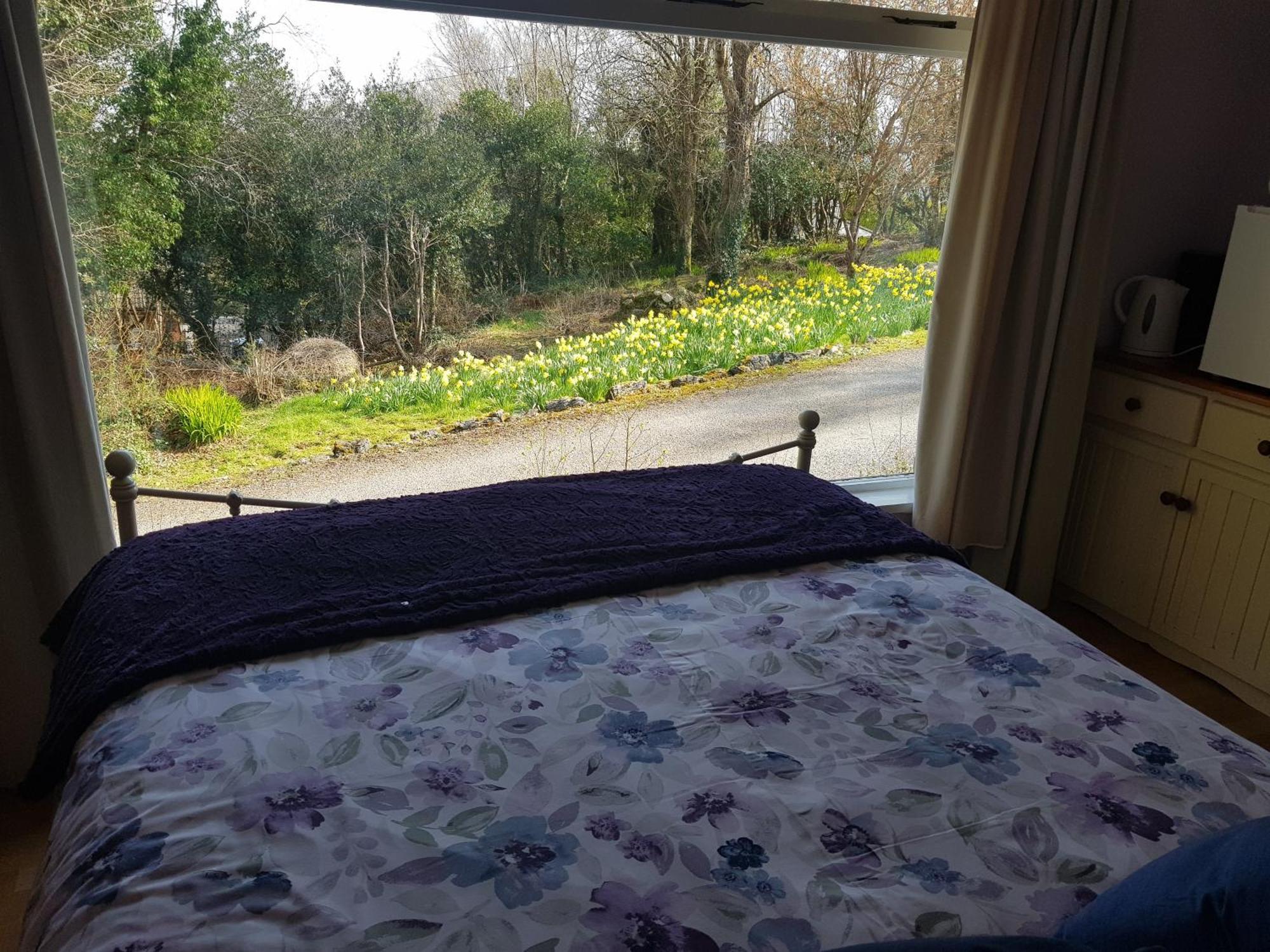 Hollybanks Apartamento Moycullen Quarto foto