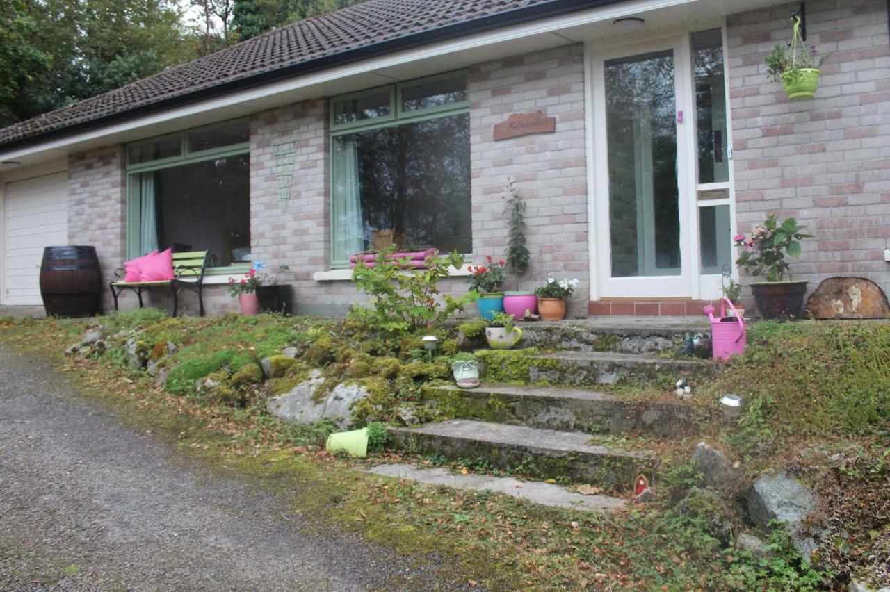 Hollybanks Apartamento Moycullen Exterior foto